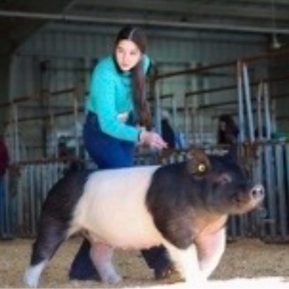 Meet your Posher, Rebecca - Picture 14 of 16